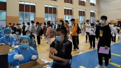 美国高管爆料视频最新消息,揭秘企业内部惊人内幕