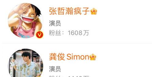 最新爆料陈宣璐是谁啊图片,揭秘网络热议的神秘美女