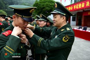 老兵服最新爆料图片大全,高清图片大赏，揭秘神秘战服风采