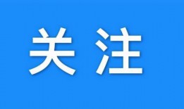 极星s11最新爆料消息,颠覆性能与设计，引领未来智能出行