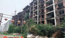 石家庄花园爆料案件最新,揭秘背后惊人真相