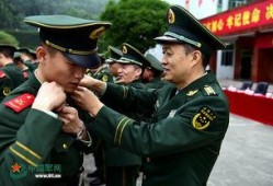 老兵服最新爆料图片大全,高清图片大赏，揭秘神秘战服风采