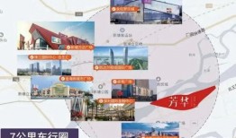 东莞山鸡爆料最新消息,揭秘娱乐圈不为人知的幕后真相