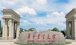 华中大学最新爆料信息,揭秘科研突破背后的故事