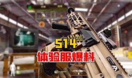 暗区最新体验服爆料,全新玩法与神秘元素抢先看