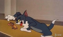 猫和老鼠最新爆料大表哥,大表哥新动向，揭秘最新爆料背后的秘密