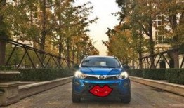 重庆比亚迪爆料新闻最新消息,生产线升级与市场布局新动向